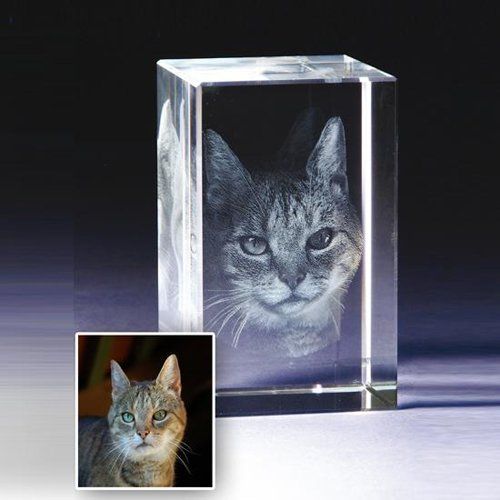 Pet 3D Photo Crystal