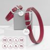Personalised Classic Red Leather Dog Collar with Tag