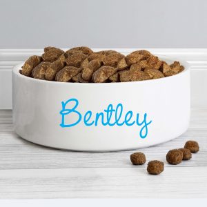Personalised Blue Name Pet Bowl